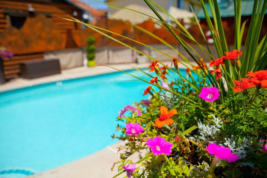 Canyons Lodge- A Canyons Collection Property Kanab Εξωτερικό φωτογραφία